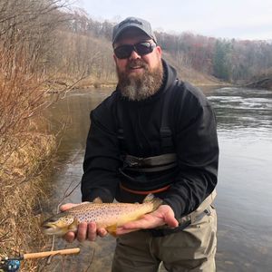 Meet your Posher, Jon